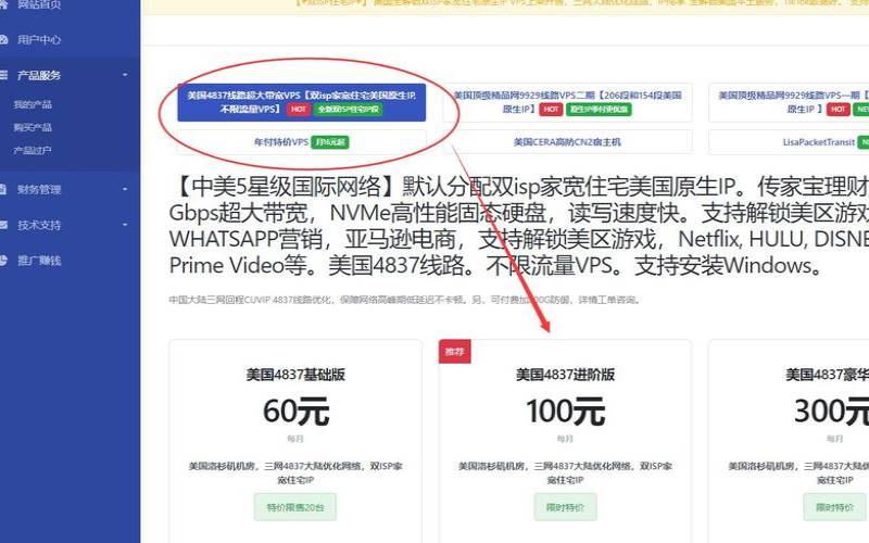 美国便宜的vps平台（国内大带宽vps）