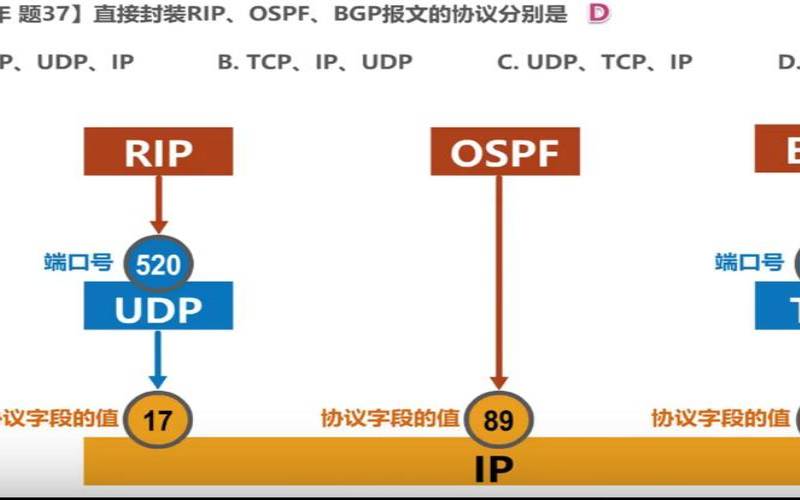 bgp边界网关协议实训（边界网关协议构造原理）