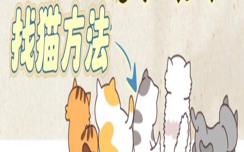 茶猫猫科技有限公司（国内好用的vps）