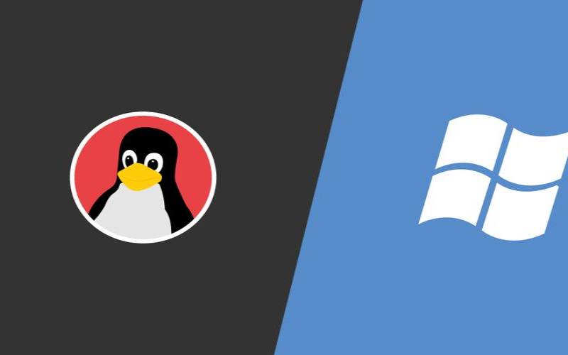 服务器windows和linux（windowsserver和win10区别）