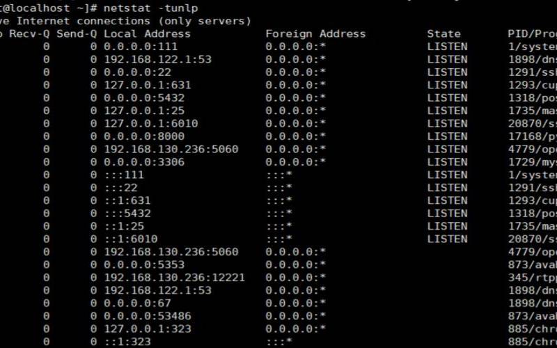 linux服务器查看端口命令（美国服务器ip地址）